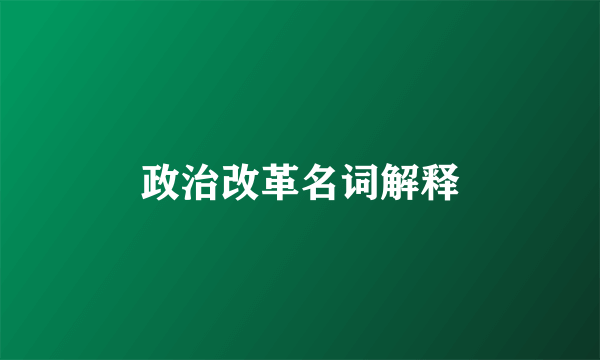 政治改革名词解释