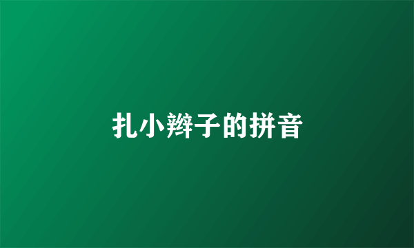 扎小辫子的拼音