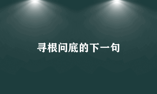 寻根问底的下一句