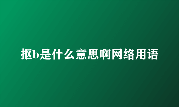 抠b是什么意思啊网络用语