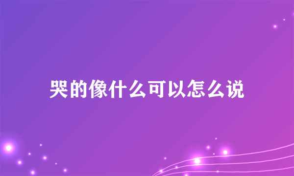 哭的像什么可以怎么说