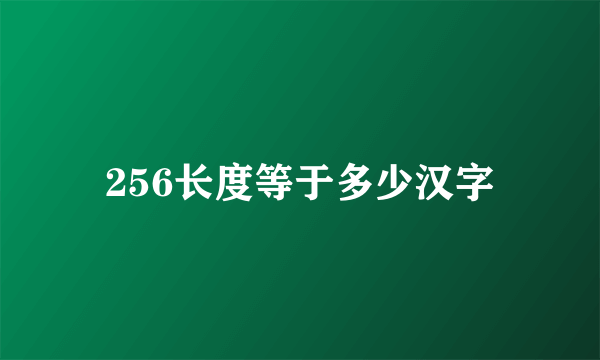 256长度等于多少汉字