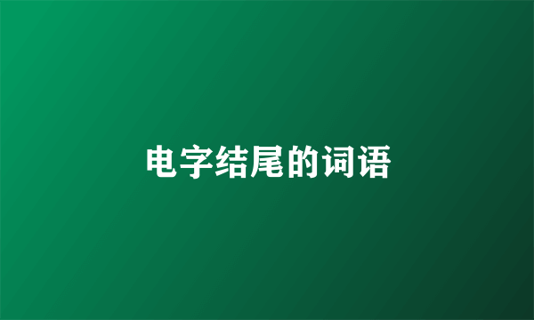 电字结尾的词语