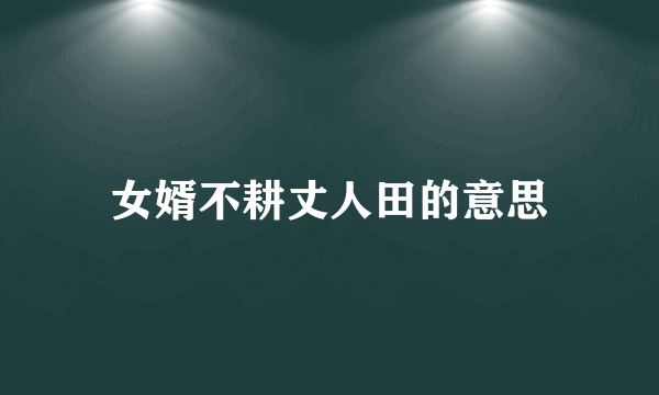 女婿不耕丈人田的意思