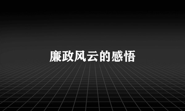 廉政风云的感悟