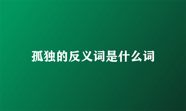 孤独的反义词是什么词