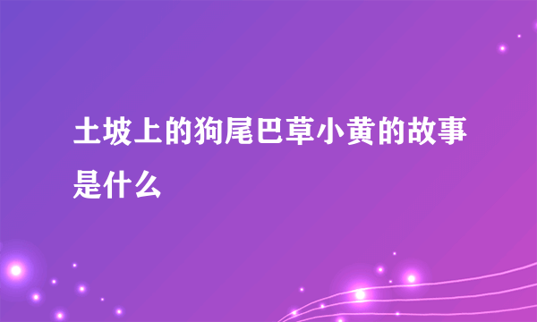 土坡上的狗尾巴草小黄的故事是什么
