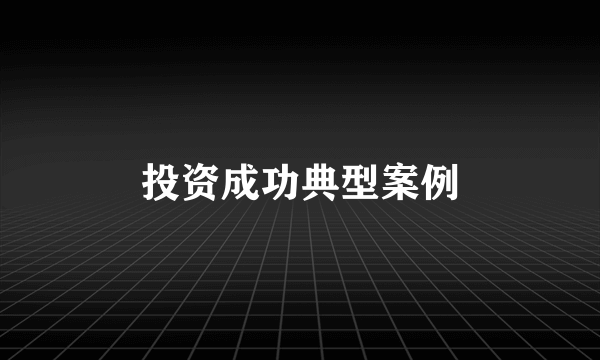 投资成功典型案例