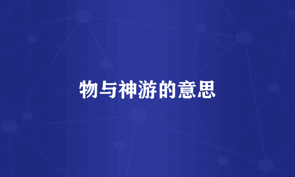 物与神游的意思