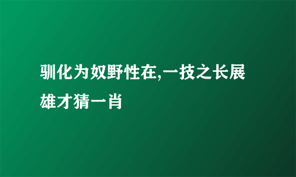 驯化为奴野性在,一技之长展雄才猜一肖