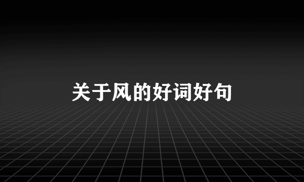 关于风的好词好句