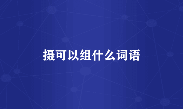 摄可以组什么词语