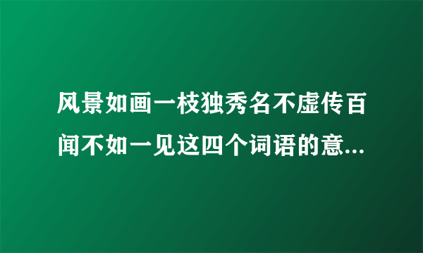 风景如画一枝独秀名不虚传百闻不如一见这四个词语的意思是什么