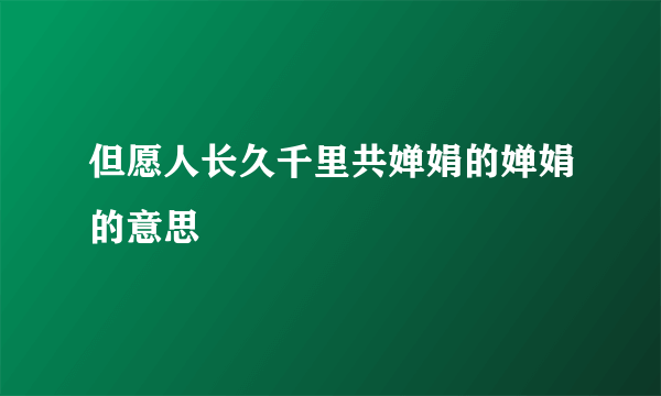 但愿人长久千里共婵娟的婵娟的意思