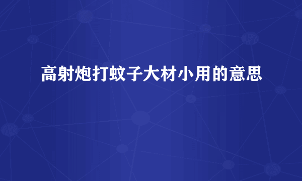高射炮打蚊子大材小用的意思