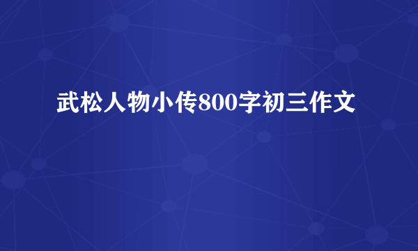 武松人物小传800字初三作文