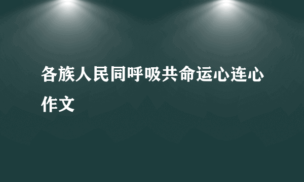 各族人民同呼吸共命运心连心作文