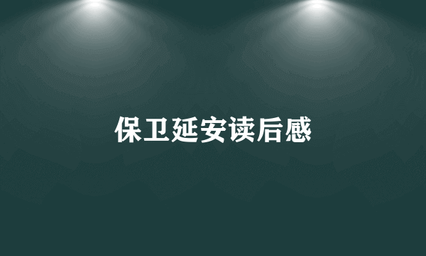 保卫延安读后感