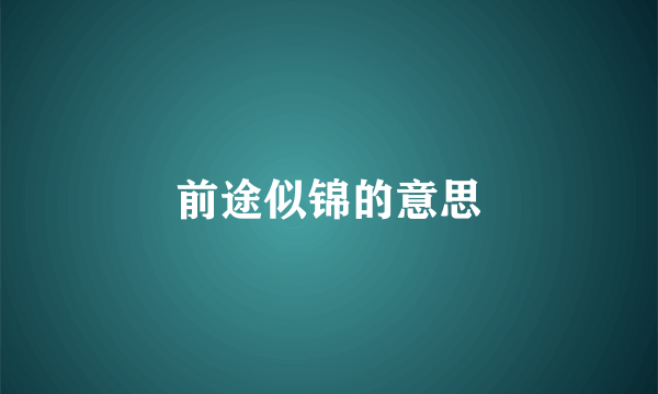 前途似锦的意思
