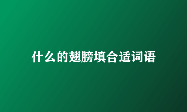 什么的翅膀填合适词语