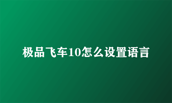 极品飞车10怎么设置语言