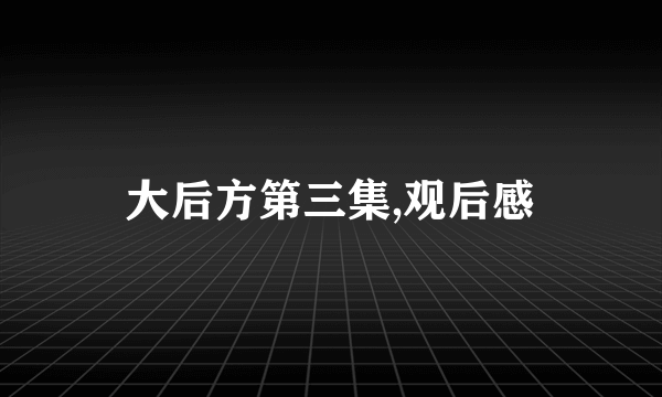 大后方第三集,观后感