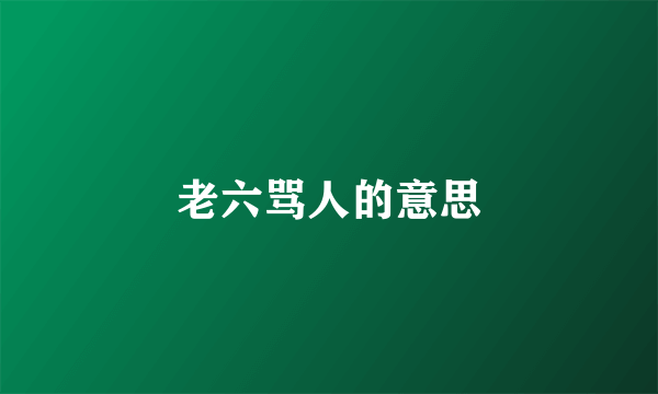 老六骂人的意思