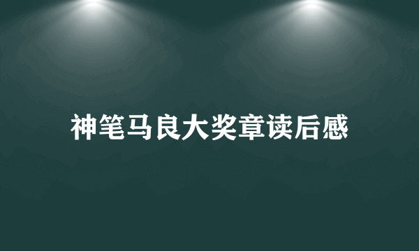 神笔马良大奖章读后感