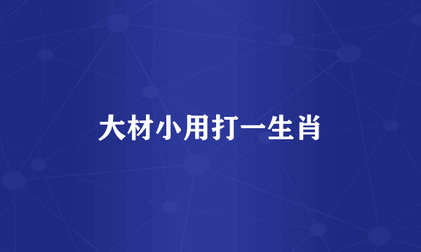 大材小用打一生肖