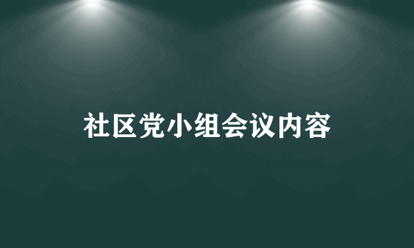 社区党小组会议内容