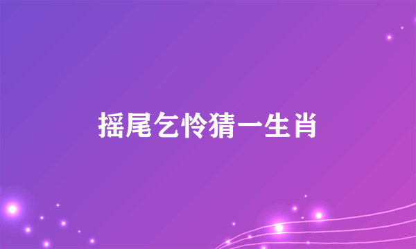 摇尾乞怜猜一生肖