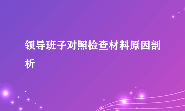 领导班子对照检查材料原因剖析