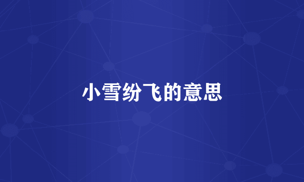 小雪纷飞的意思
