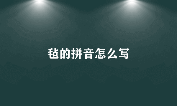 毡的拼音怎么写