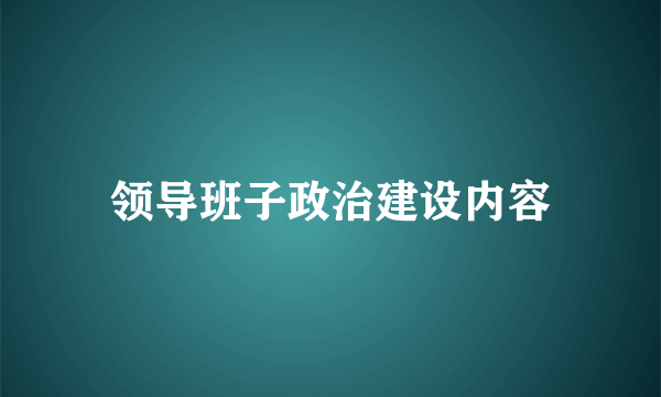 领导班子政治建设内容