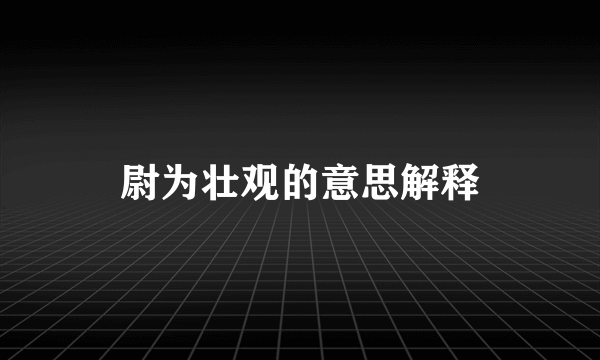 尉为壮观的意思解释
