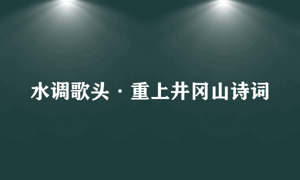 水调歌头·重上井冈山诗词