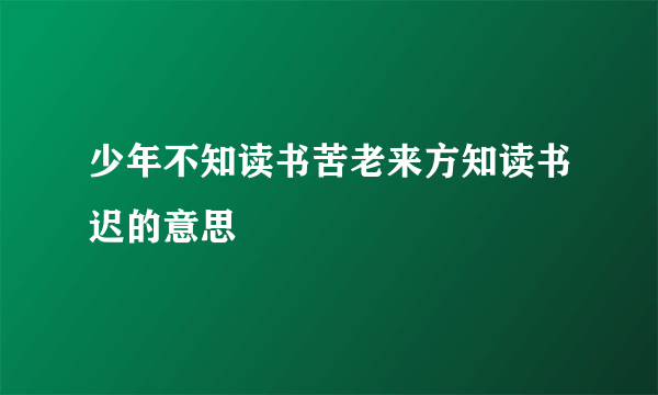 少年不知读书苦老来方知读书迟的意思