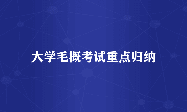 大学毛概考试重点归纳