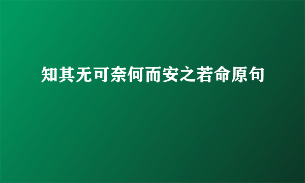 知其无可奈何而安之若命原句