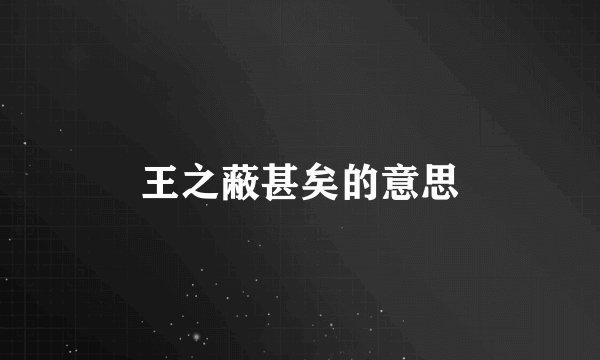 王之蔽甚矣的意思
