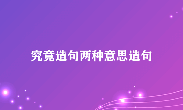 究竟造句两种意思造句