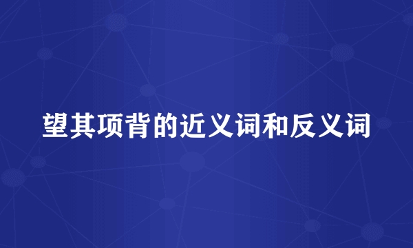 望其项背的近义词和反义词