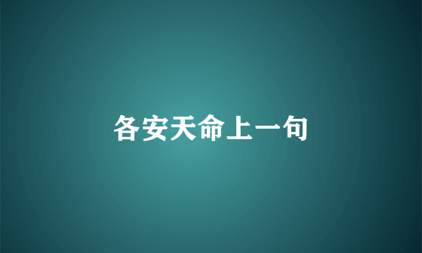 各安天命上一句