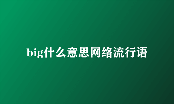 big什么意思网络流行语