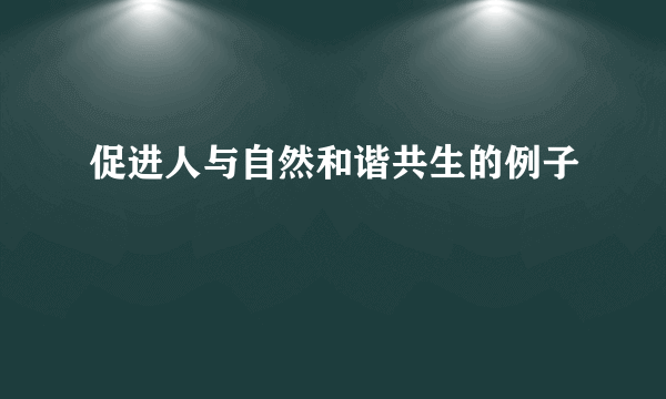 促进人与自然和谐共生的例子