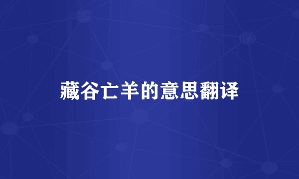 藏谷亡羊的意思翻译