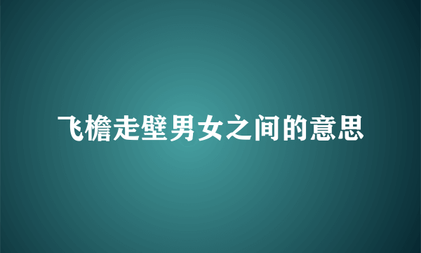 飞檐走壁男女之间的意思