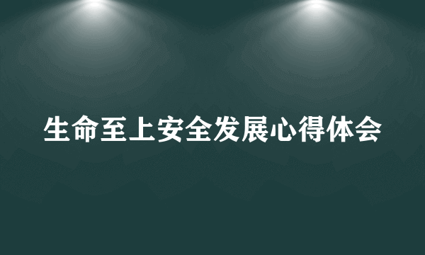 生命至上安全发展心得体会