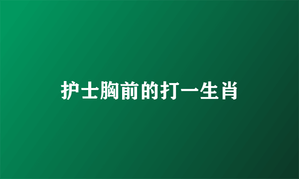 护士胸前的打一生肖